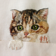 Illustration for article titled Internet Cats Make Boring Dress Shirts Better